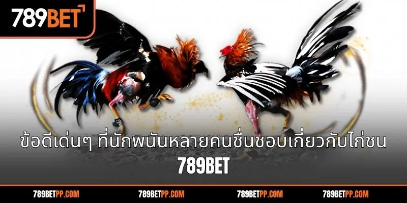 ที่โดดเด่นที่นักพนันหลายคนชื่นชอบเกี่ยวกับไก่ชน 789BET